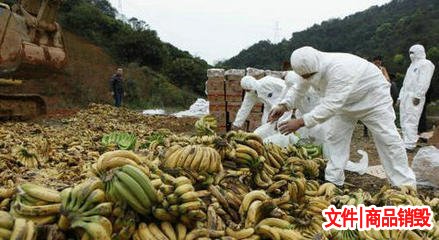 家電銷毀